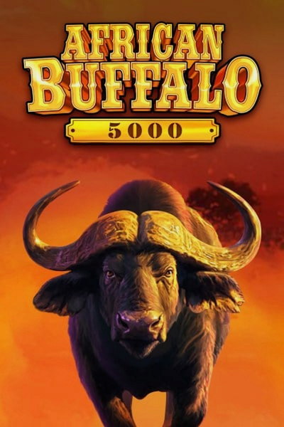 African Buffalo 5000, pogled bivola pri Cleobetri